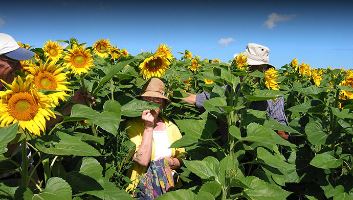 Les Ruraux du 21ème… - Idéacom International